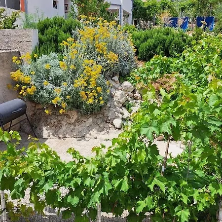 Seaside House Igrane, Makarska - 21577 Holiday home *