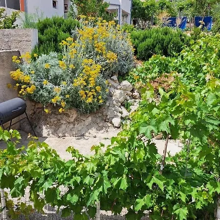 Apartment By The Sea Igrane, Makarska - 21577 Igrane